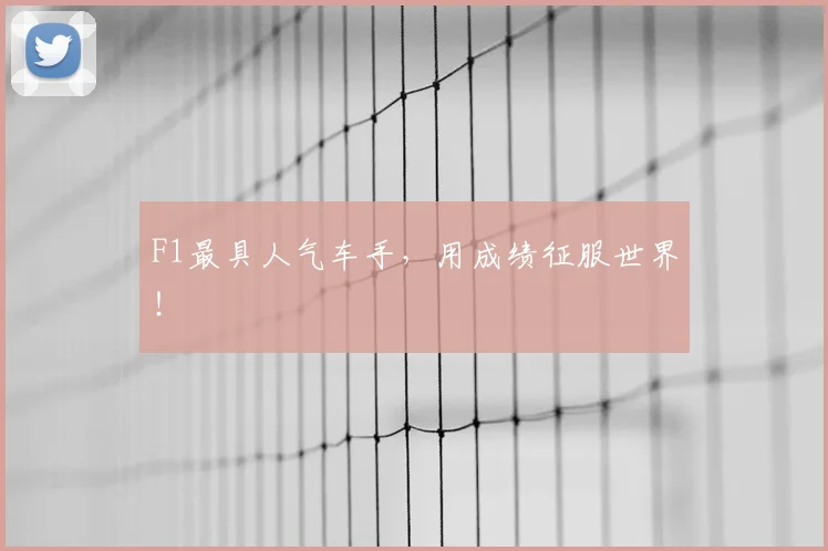 F1最具人气车手，用成绩征服世界！