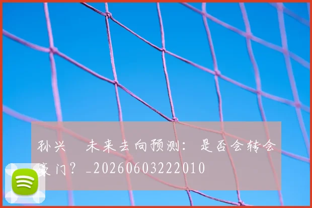 孙兴慜未来去向预测：是否会转会豪门？_20260603222010